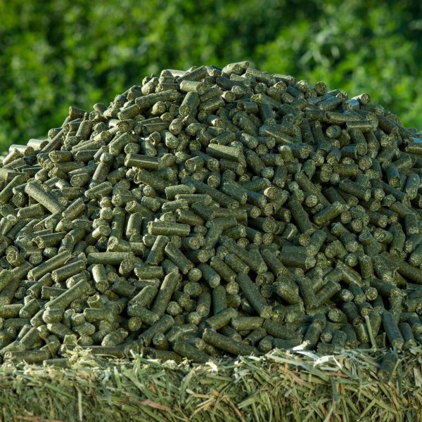 Moringa Pellets for Goat, Sheep & Lamb Feed Supply
