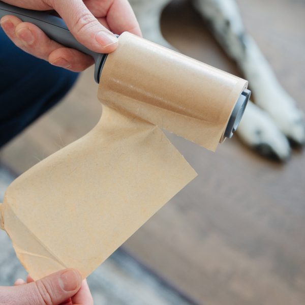 Lint Condition on Sale - Image 4