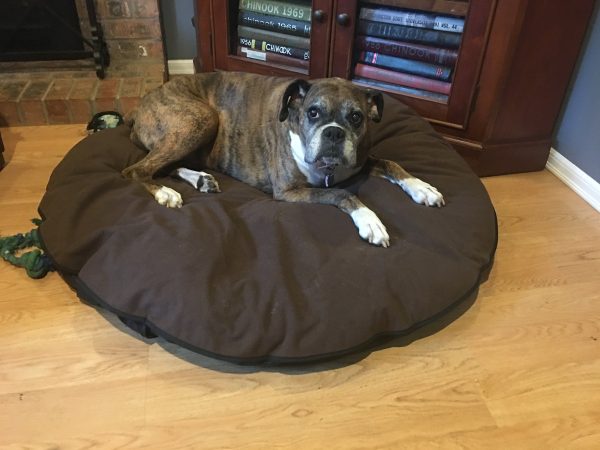 Pet Bed Cover on Sale - Image 2