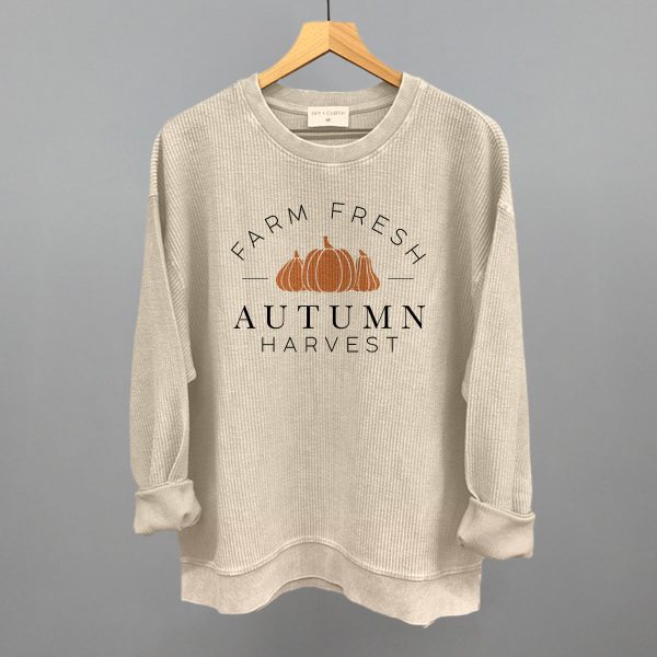 Autumn Harvest For Cheap