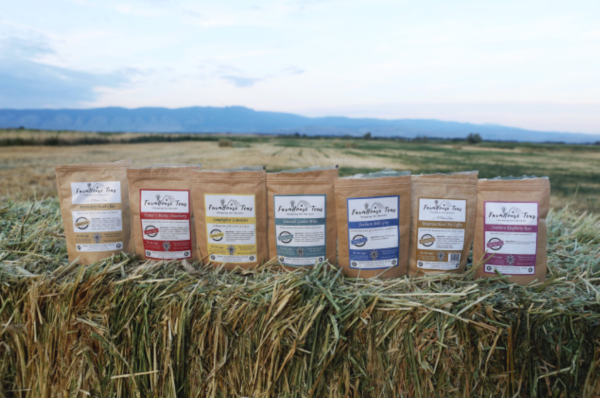 Wellness Teas Starter Pack | 3 Teas | Organic Loose Leaf For Sale - Image 4