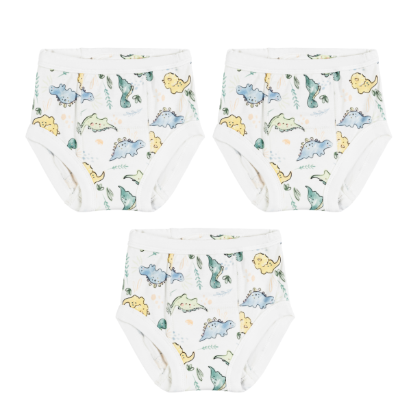 Dino Training Pants 3 Pack on Sale