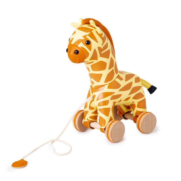 Little Big Friends Pull Along Toy For Sale - Image 2