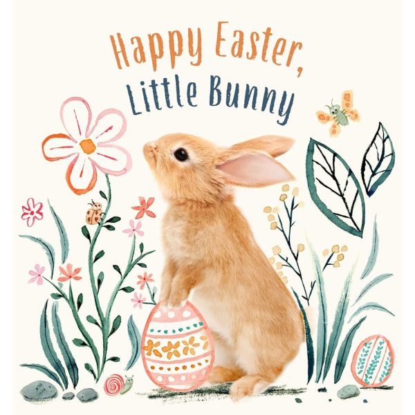 Happy Easter, Little Bunny : A Board Book of Baby Animal Tales For Sale