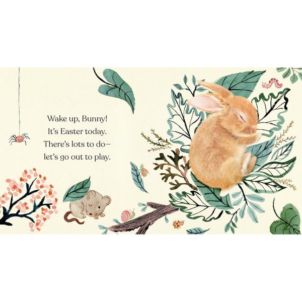 Happy Easter, Little Bunny : A Board Book of Baby Animal Tales For Sale - Image 4