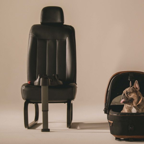 Tavo Vehicle Base for Maeve Pet Protection System Sale - Image 3