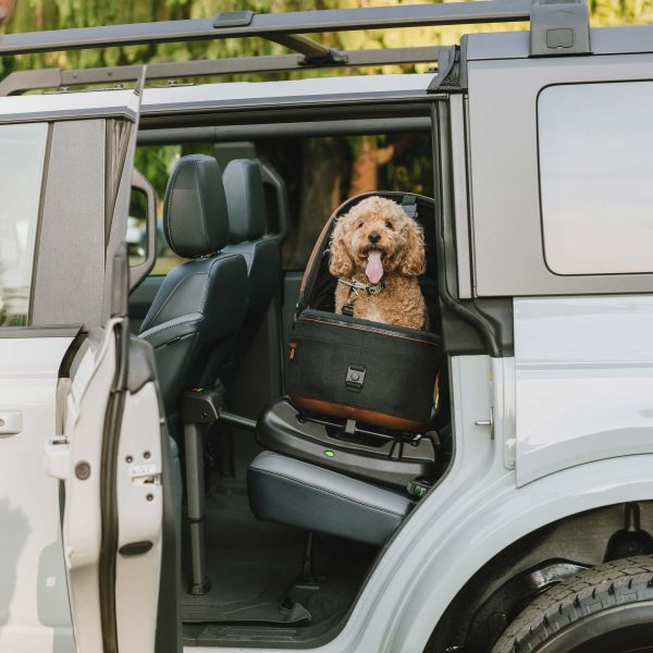 Tavo Vehicle Base for Maeve Pet Protection System Sale - Image 4